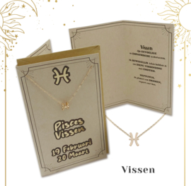 Horoscoopkaart met ketting | Vissen | 6 stuks