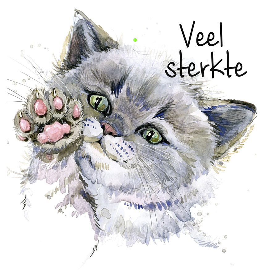 Bloemenkaartje House of Humor 7x7 dubbel vak 135