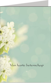 Butterflies beterschap vak 123