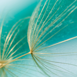 Rouwkaartje Silence 8x8 | zaden | dubbel | 12 stuks | Zonder tekst