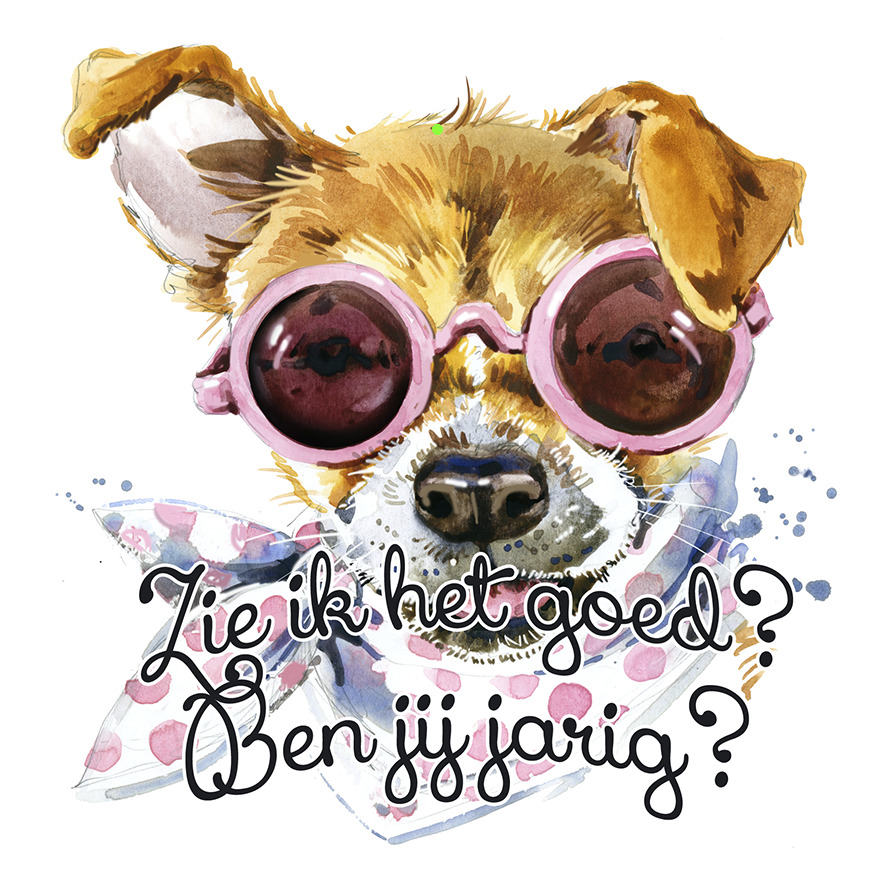 Bloemenkaartje House of Humor 7x7 dubbel vak 127