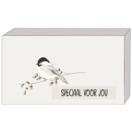 Cadeaudoosjes groot Birds & Bees 511