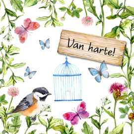 Bloemenkaartje Lovely Day | dubbel | 7x7 | 15 stuks | Vak 116