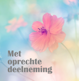 Bloemenkaartje Condoleance | dubbel | 7x7 | 15 stuks | Vak 117