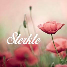 Bloemenkaartje Condoleance | dubbel | 7x7 | 15 stuks | Vak 108