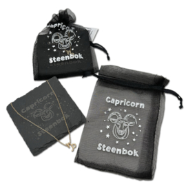 Horoscoopketting en onderzetter | Steenbok | 6 stuks