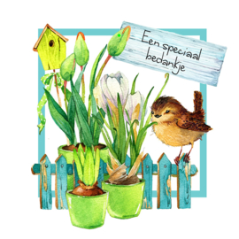 Bloemenkaartje Lovely Day | dubbel | 7x7 | 15 stuks | Vak 120