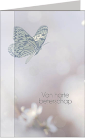 Butterflies beterschap vak 105