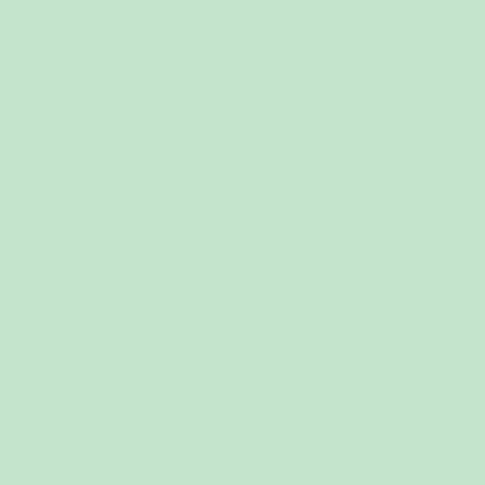 Verbazingwekkend Mint Groen - Siser P.S. Effen Flex (Maat Flex: 50cm*1m) | Siser CX-87