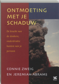 Ontmoeting met je schaduw - Connie Zweig en Jeremiah Abrams