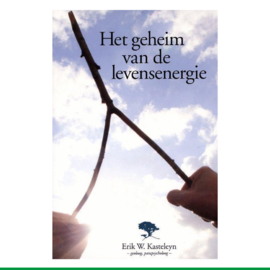 Het geheim van de levensenergie - Erik W. Kasteleyn