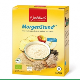 P. Jentschura MorgenStund - Glutenvrije BIO Ontbijtmix - 500 gram