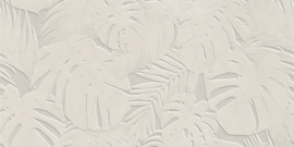 kima areca ivory mate