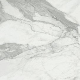 Invictus polished 120x120cm