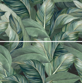 tih tropic  60 x 120  prijs per m2