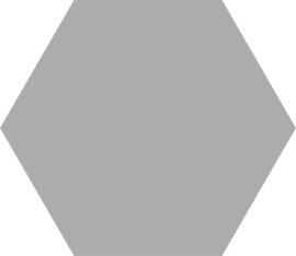 Basis Silver  Hexagon 22x25cm