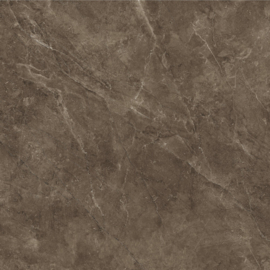 Bayona Mokka polished 60x60cm