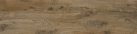 Nebraska Oak ,  buitentegels 20mm, 30x120cm