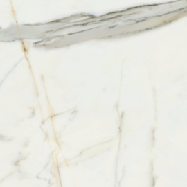 CALACATTA BORGHINI POL. RECT 120X120cm P06