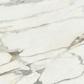 CALACATTA BORGHINI MATT RECT 120X120cm N31