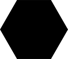 Basis Black Hexagon 22x25cm