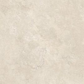 portland stone beige mate 60 x 120