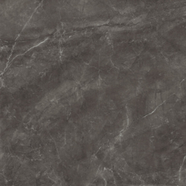 Bayona grey Naturel 120x120cm