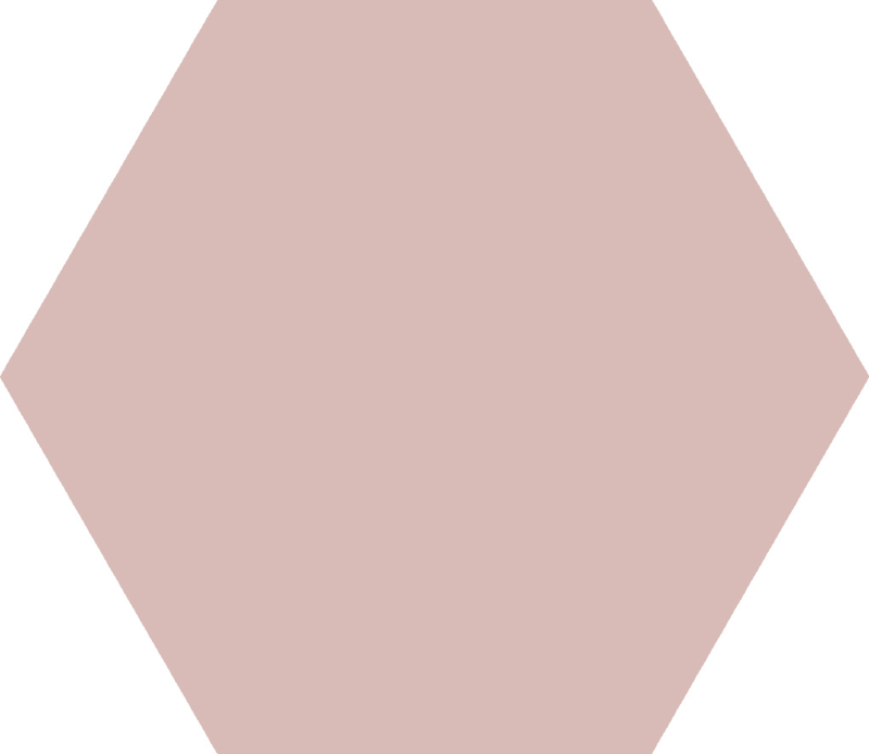 Basis Rose Hexagon 22x25cm