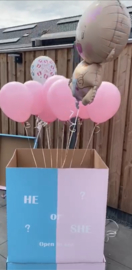 Gender Reveal Box