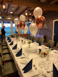 tros 3 ballonnen #3