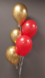 tros 5 ballonnen