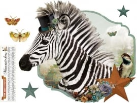 Zebra artikel:05.01.005