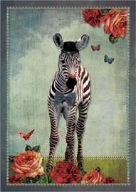 Lieve zebra artikel:01.03.004