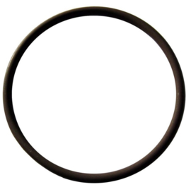 Boiler gasket ECM Botticelli