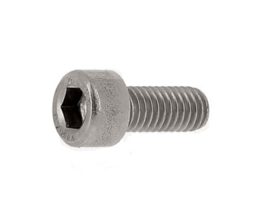 Screw M6x14 steamtap E61/Replica