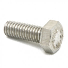 Head screw M8x16 E61