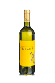 Weingut Setzer, Austich Gruner Veltliner DAC, Hohenwarth, Weinviertel