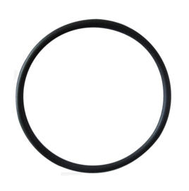 O-ring disk Lelit 58mm group