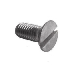 Screw shower Gaggia Classic