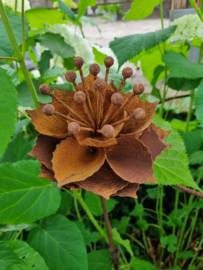 Rusty Flower  263