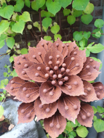 Rusty Flower 268