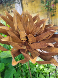 Rusty Flower 536