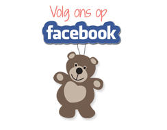 facebook pagina Bambineke