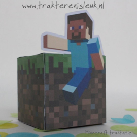 Minecraft Traktatie