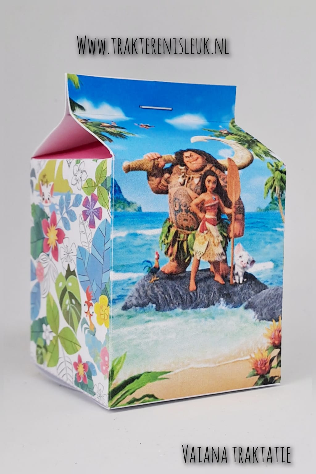 Vaiana Traktatie