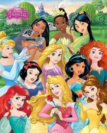 Disney Princess Mini Poster