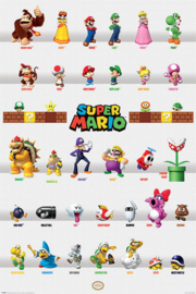 Super Mario Maxi Poster - Character Parade