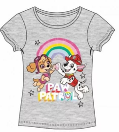 Paw Patrol T-shirt Pawsitive - Grijs
