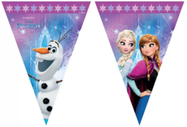 Disney Frozen Northern Lights Vlaggenlijn