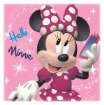 Minnie Mouse Magic Towel - Hello